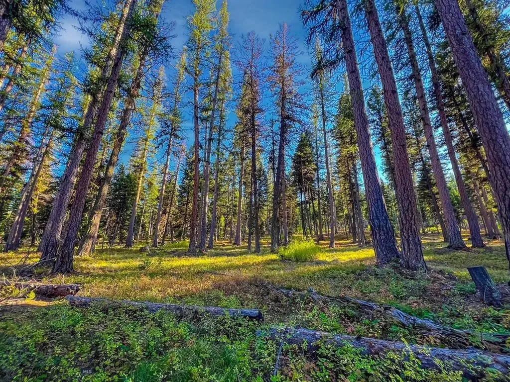 1026 Placid View Place Seeley Lake MT 59868