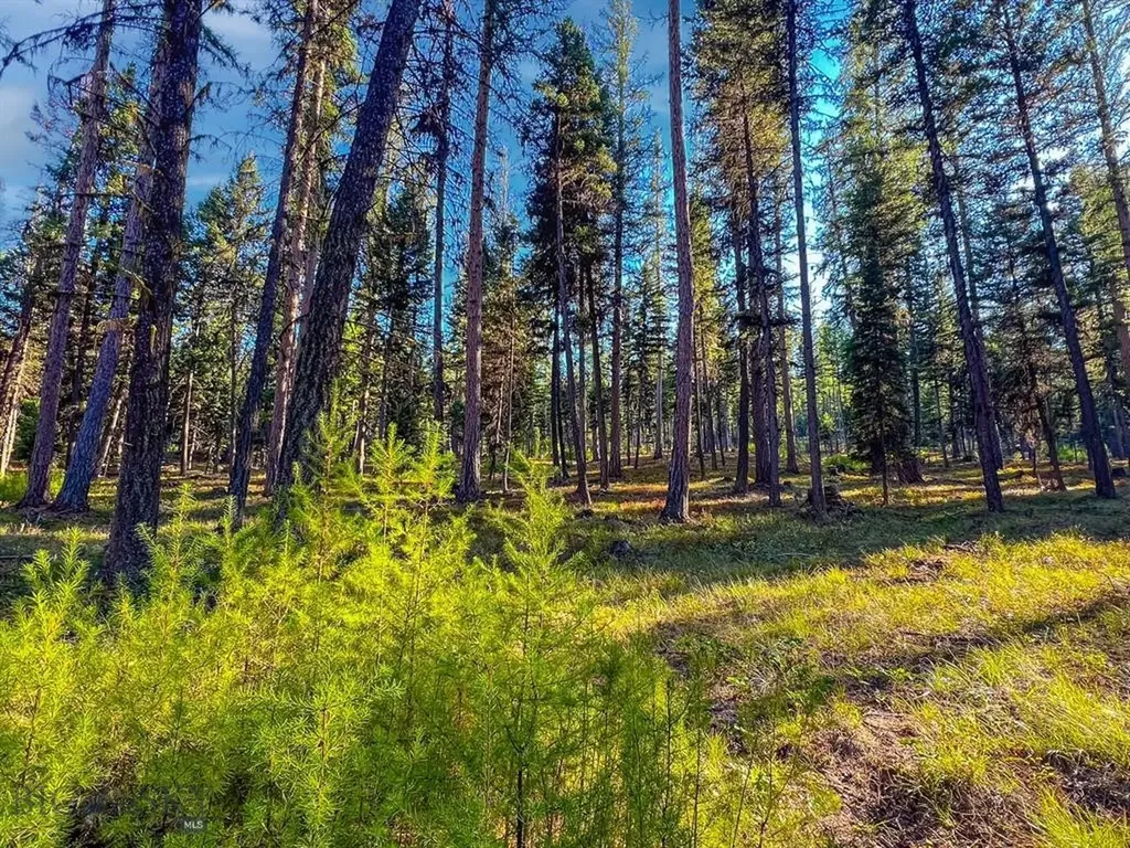 1026 Placid View Place Seeley Lake MT 59868