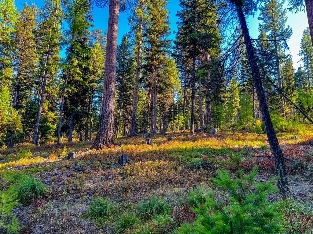 1026 Placid View Place Seeley Lake MT 59868