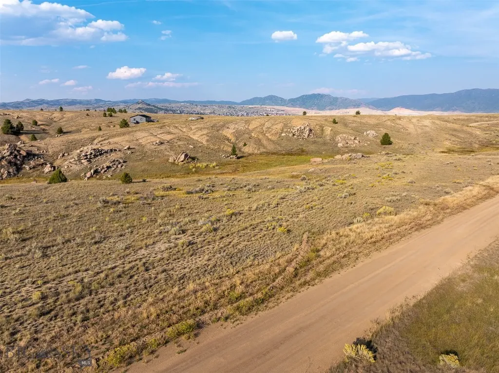 Tbd Buckhorn Lane Butte MT 59701