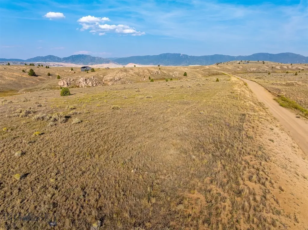 Tbd Buckhorn Lane Butte MT 59701
