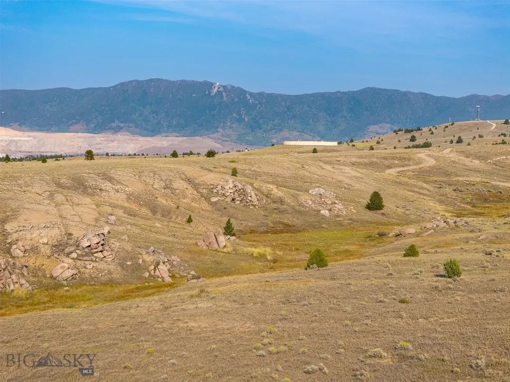Tbd Buckhorn Lane Butte MT 59701