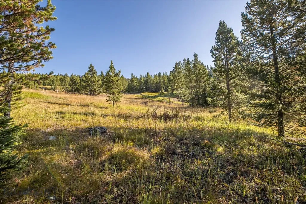 Tbd White Otter Road, Lot 34 Big Sky MT 59716