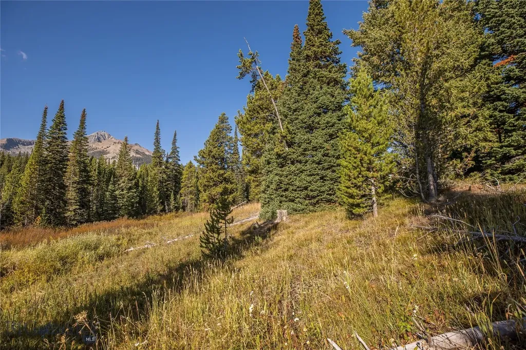 Tbd White Otter Road, Lot 34 Big Sky MT 59716