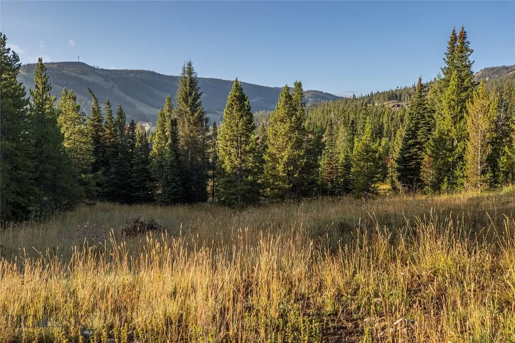 Tbd White Otter Road, Lot 34 Big Sky MT 59716