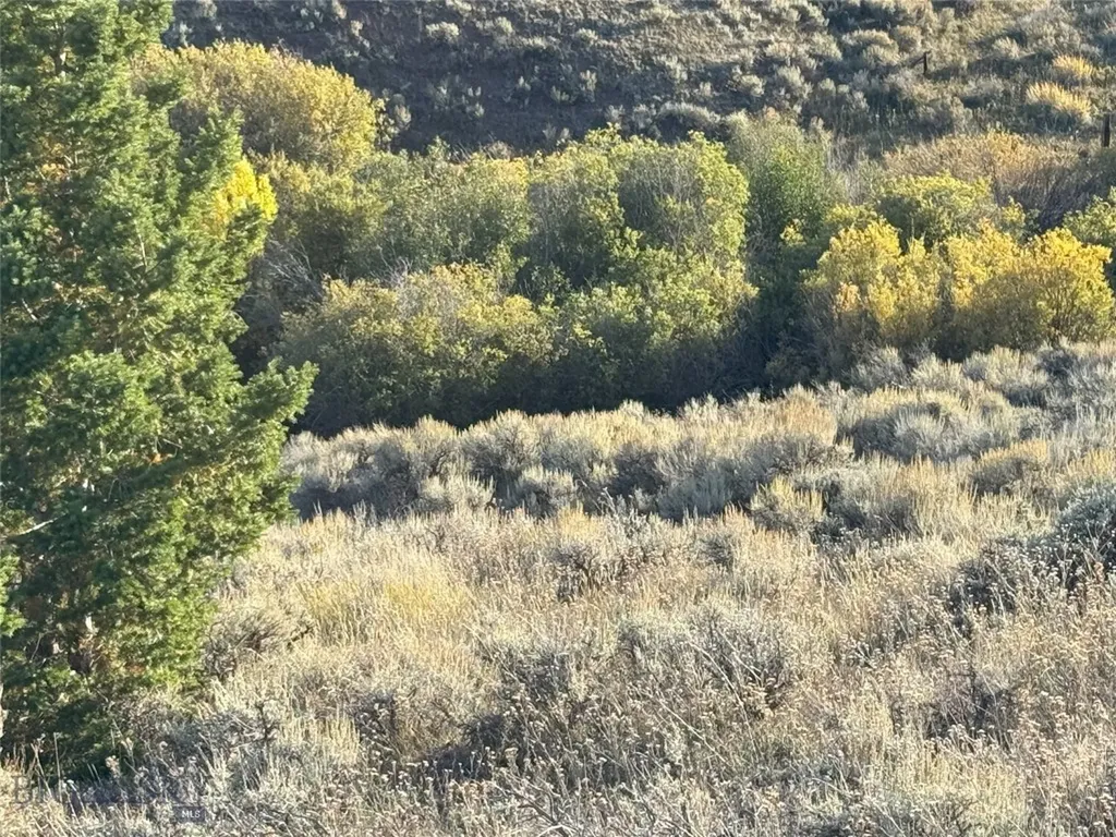 45 Mountainview White Sulphur Springs MT 59645