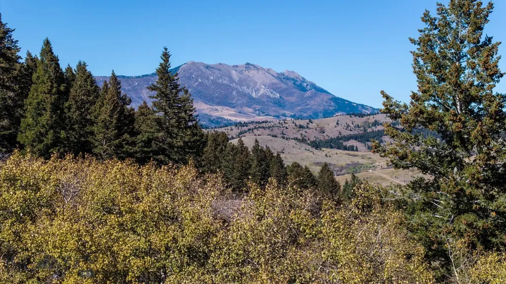340 Silver Tip Trail Bozeman MT 59715