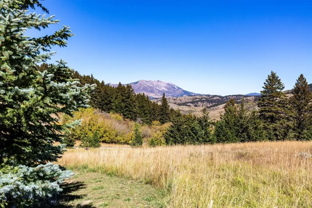340 Silver Tip Trail Bozeman MT 59715