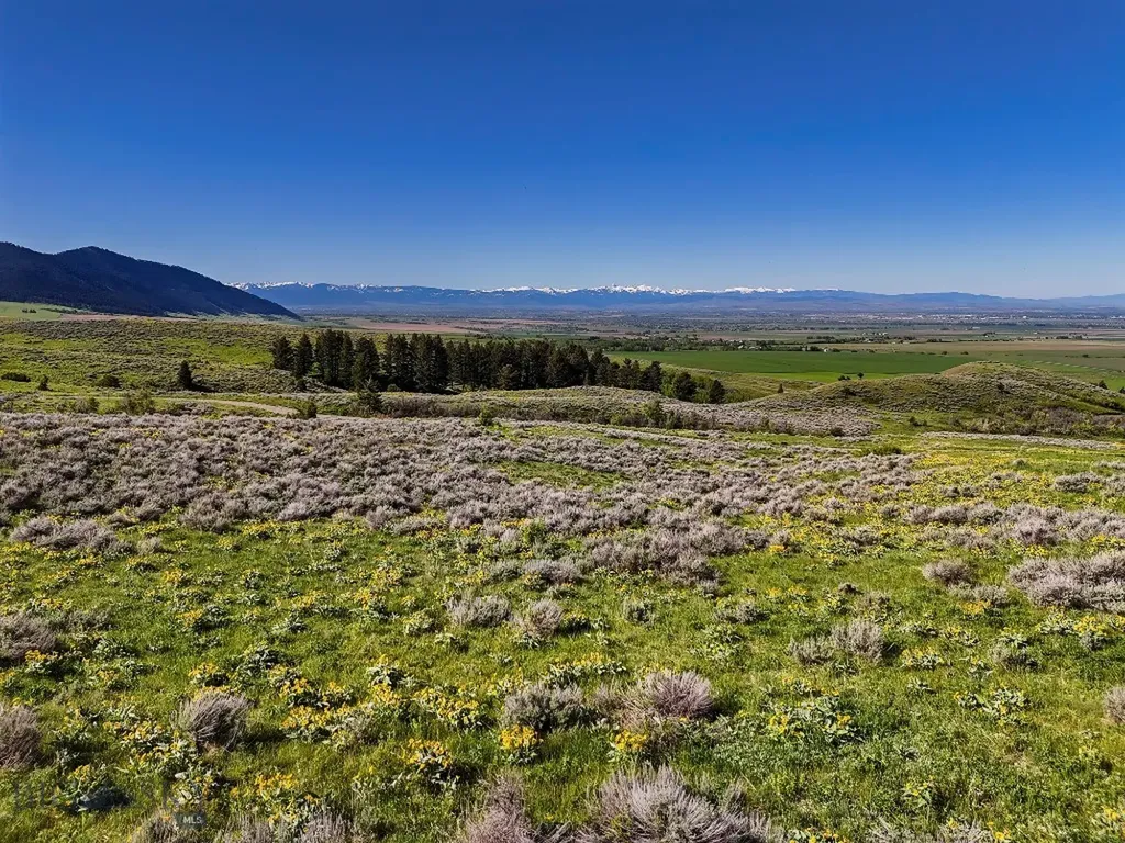 Bridger Foothills Ranch At Four Bar Ranch Belgrade MT 59714