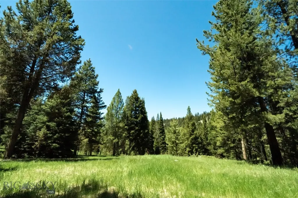 715 Colters Run Loop Big Sky MT 59716