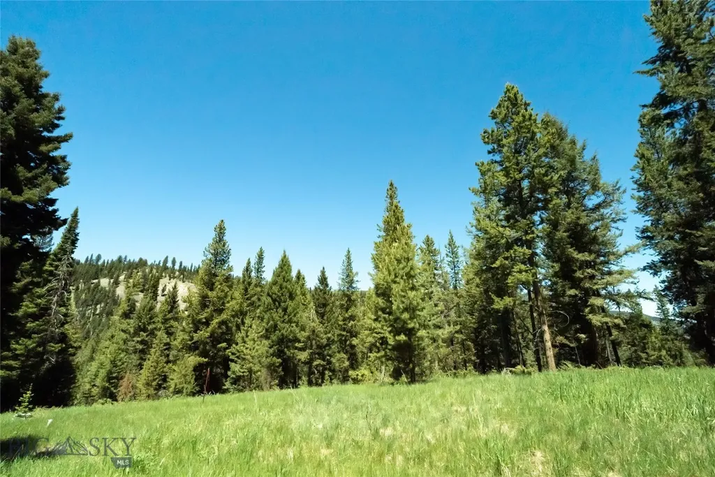 715 Colters Run Loop Big Sky MT 59716