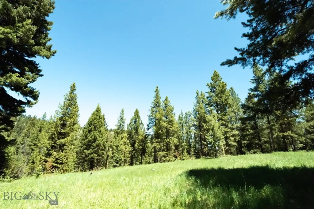 715 Colters Run Loop Big Sky MT 59716