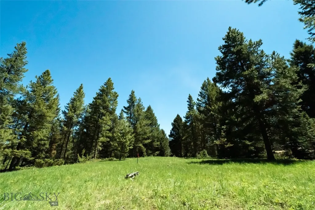 715 Colters Run Loop Big Sky MT 59716