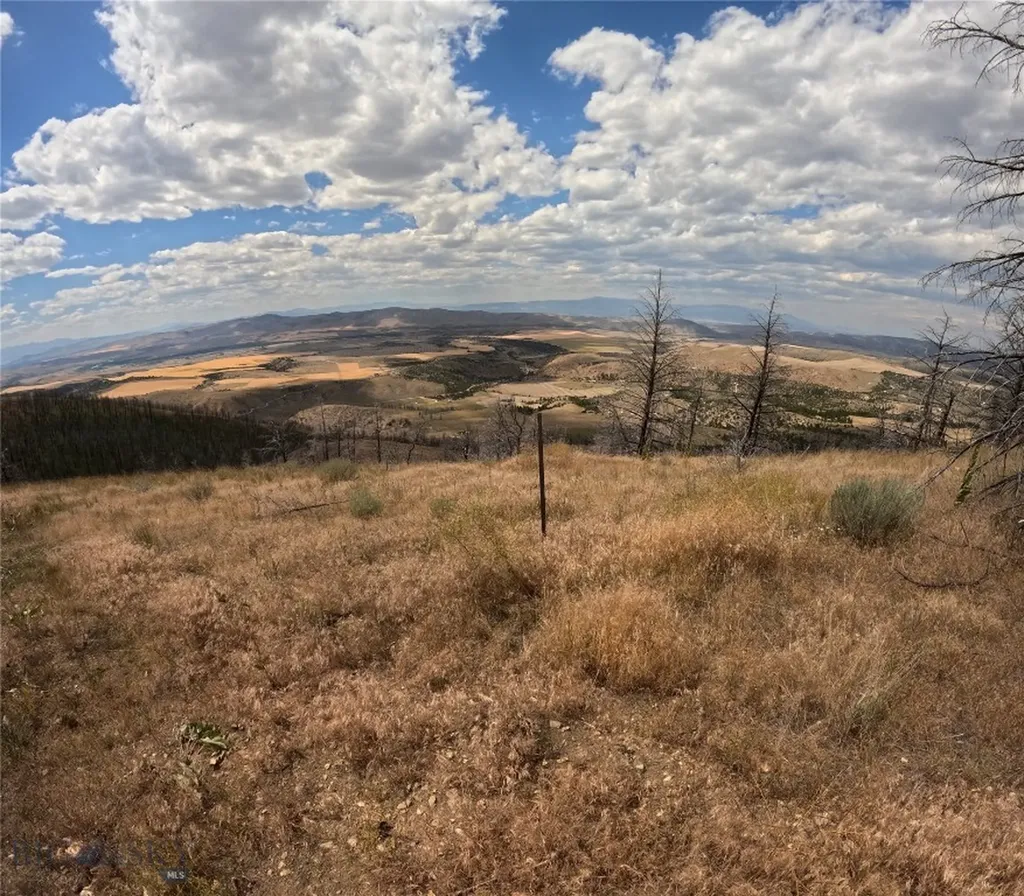 Lot 402 Lightning Ridge Trail Three Forks MT 59752