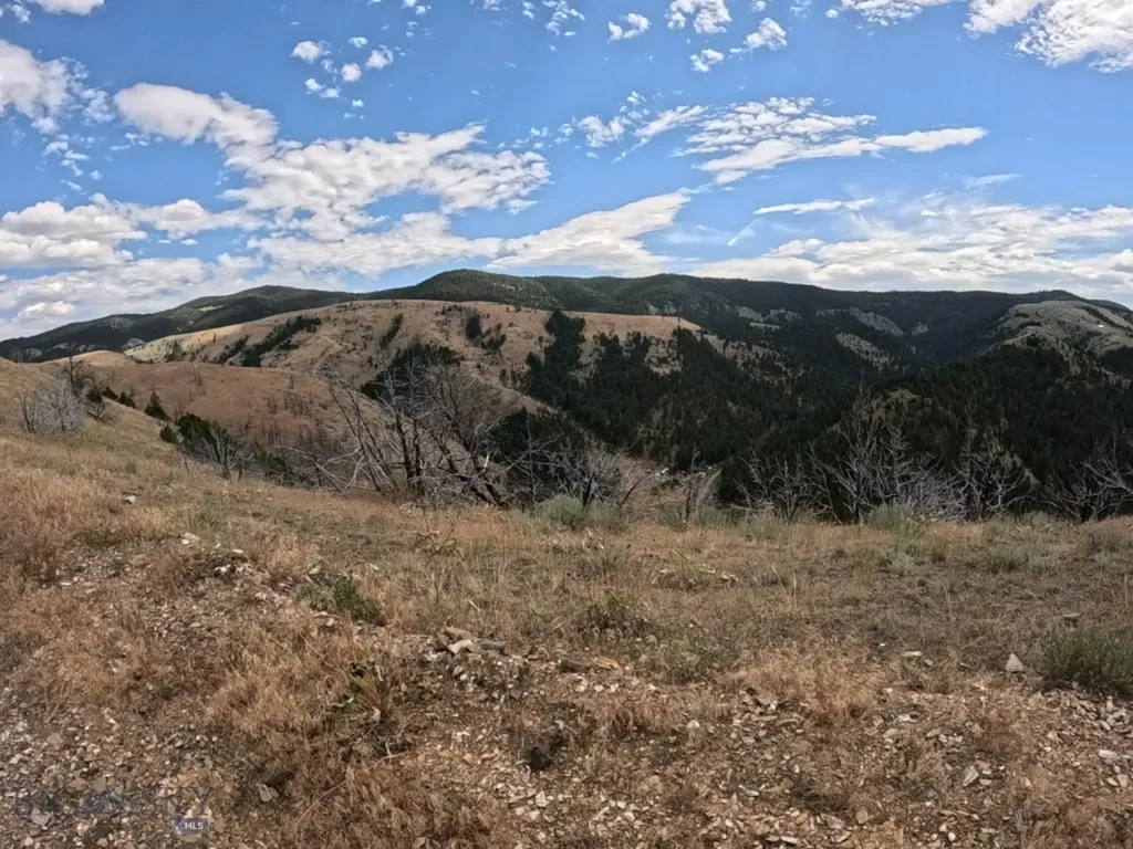 Lot 402 Lightning Ridge Trail Three Forks MT 59752