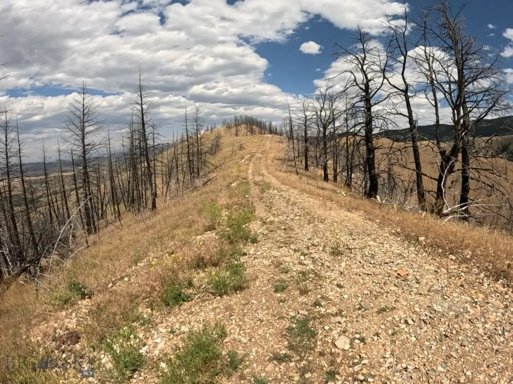 Lot 402 Lightning Ridge Trail Three Forks MT 59752