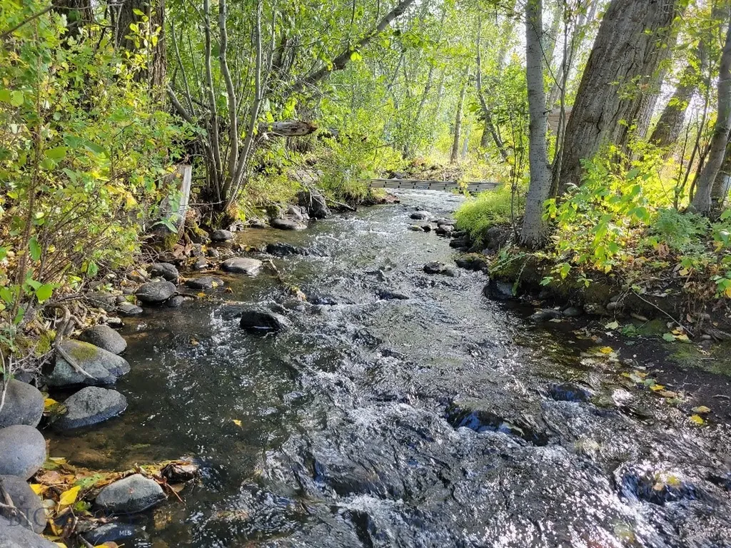 Lot 2 Hyalite Canyon Road Bozeman MT 59715