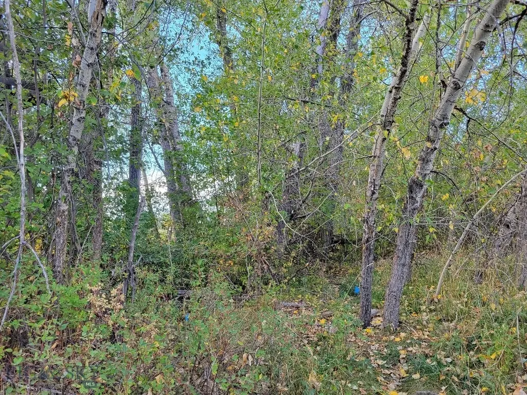 Lot 2 Hyalite Canyon Road Bozeman MT 59715