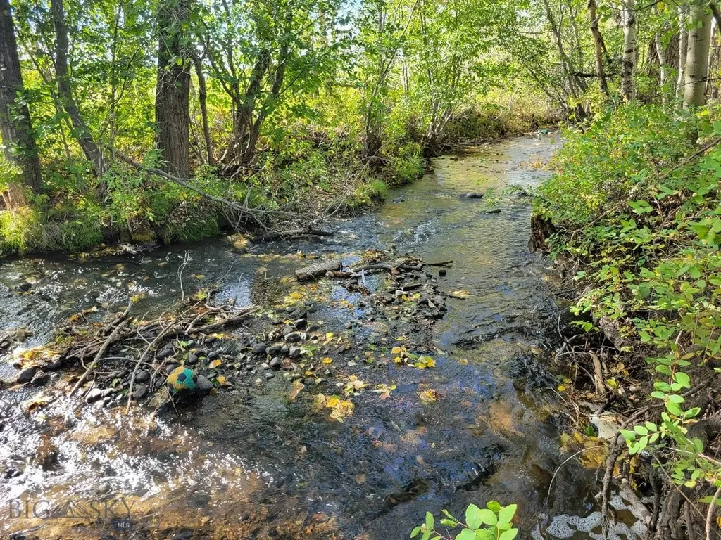 Lot 2 Hyalite Canyon Road Bozeman MT 59715