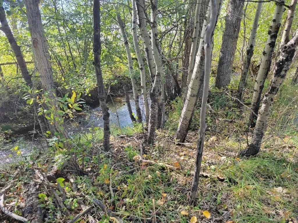 Lot 2 Hyalite Canyon Road Bozeman MT 59715
