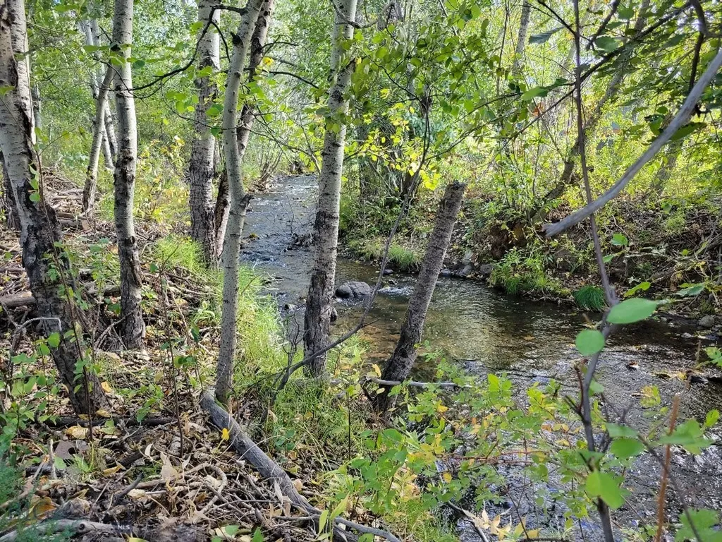 Lot 2 Hyalite Canyon Road Bozeman MT 59715