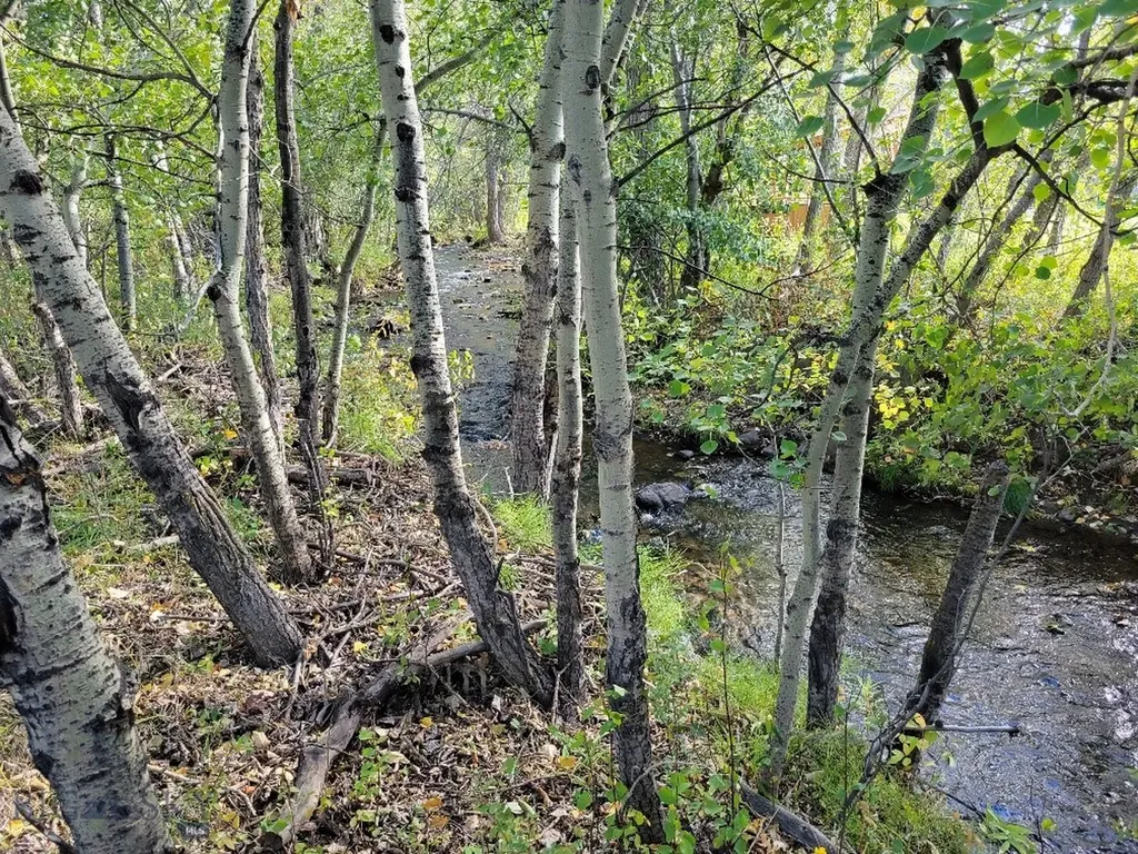Lot 2 Hyalite Canyon Road Bozeman MT 59715