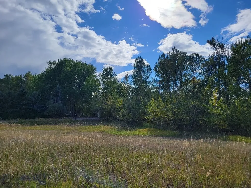 Lot 2 Hyalite Canyon Road Bozeman MT 59715