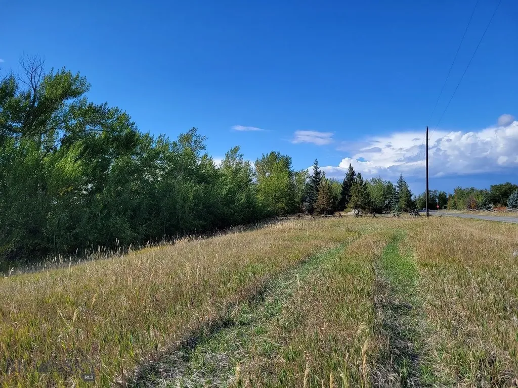 Lot 2 Hyalite Canyon Road Bozeman MT 59715