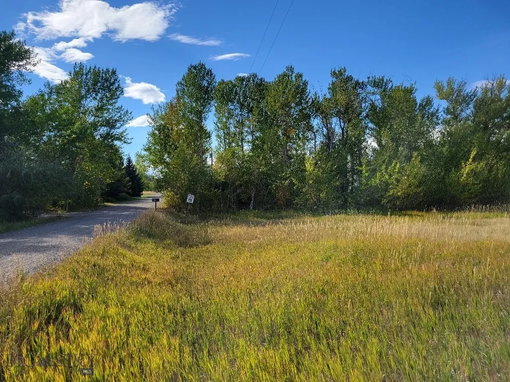 Lot 2 Hyalite Canyon Road Bozeman MT 59715