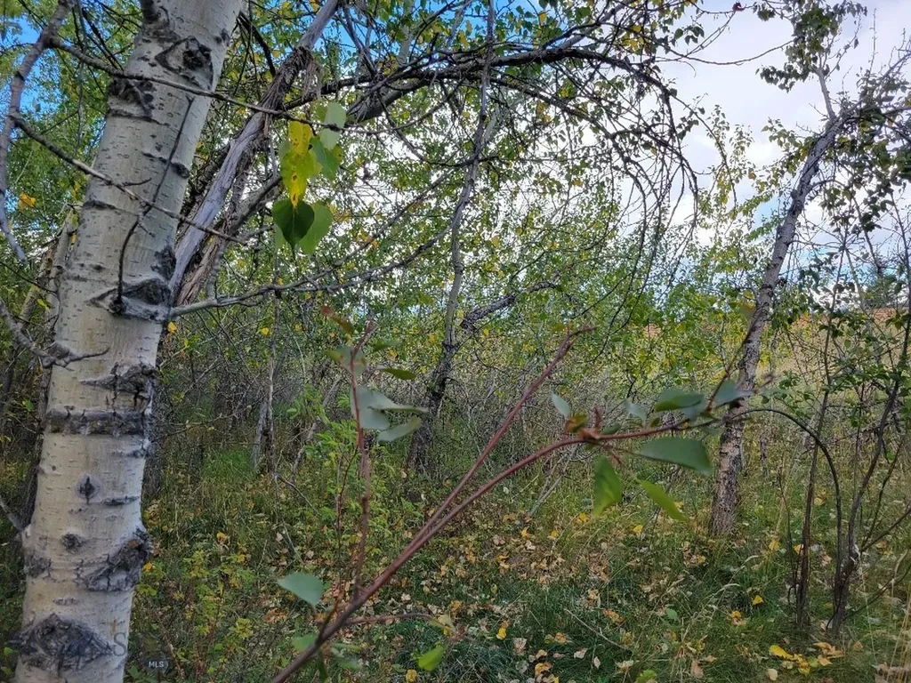Lot 2 Hyalite Canyon Road Bozeman MT 59715