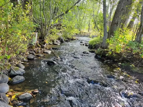 Lot 2 Hyalite Canyon Road Bozeman MT 59715