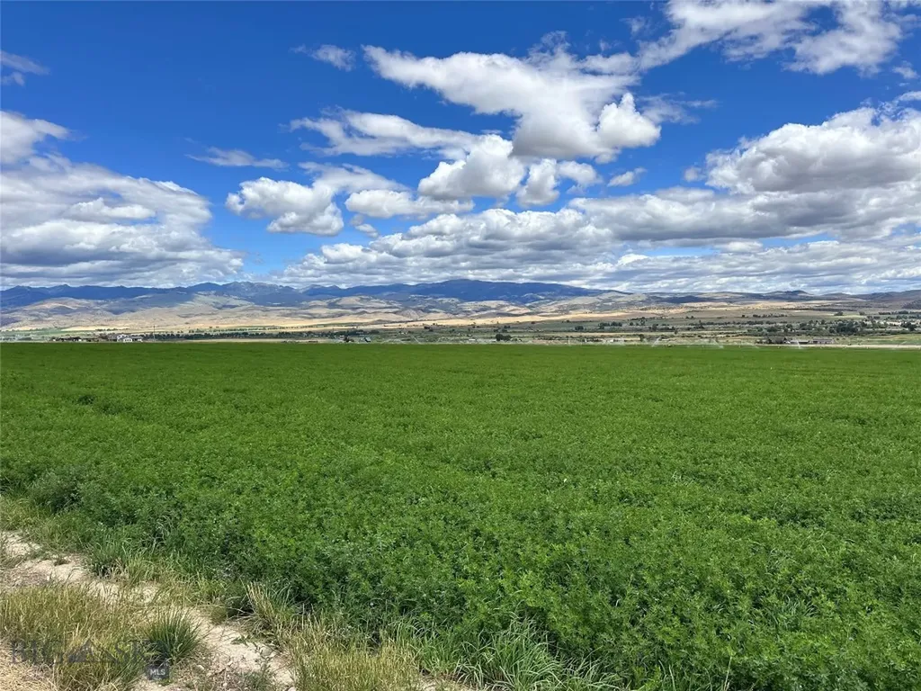 Lot 1a Spring Canyon Road Alder MT 59710