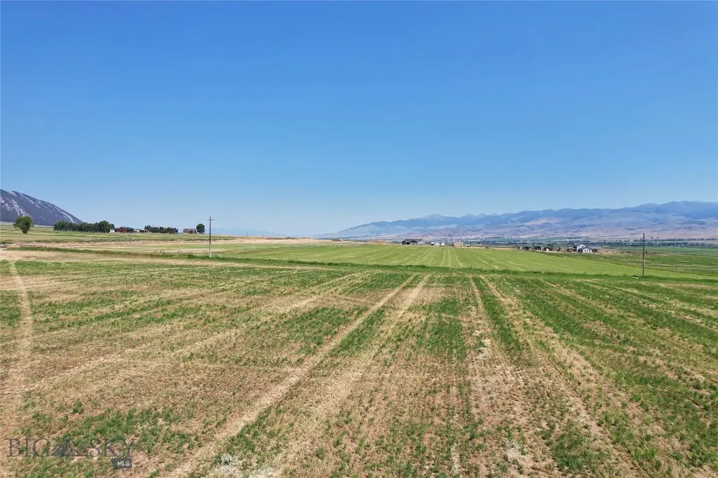 Lot 1a Spring Canyon Road Alder MT 59710