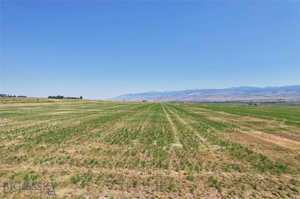 Lot 1a Spring Canyon Road Alder MT 59710
