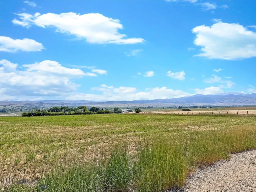 Lot 1a Spring Canyon Road Alder MT 59710