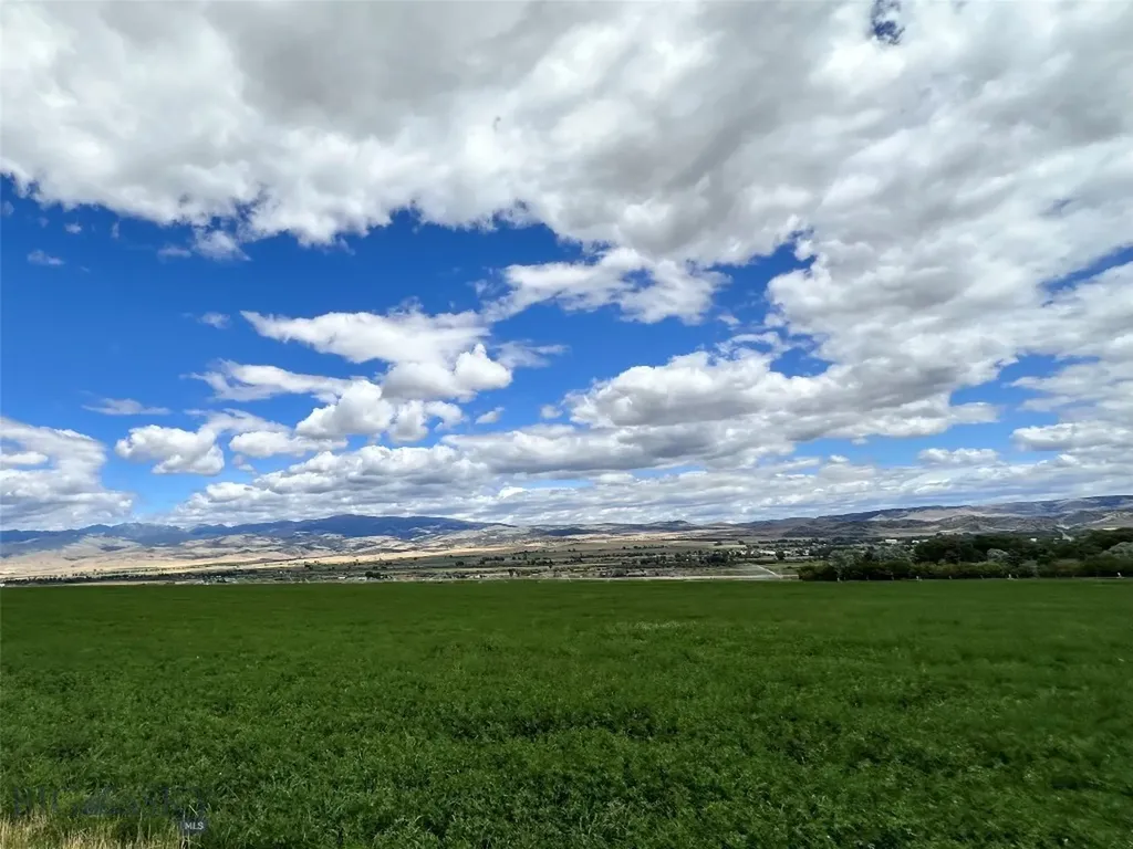 Lot 1a Spring Canyon Road Alder MT 59710