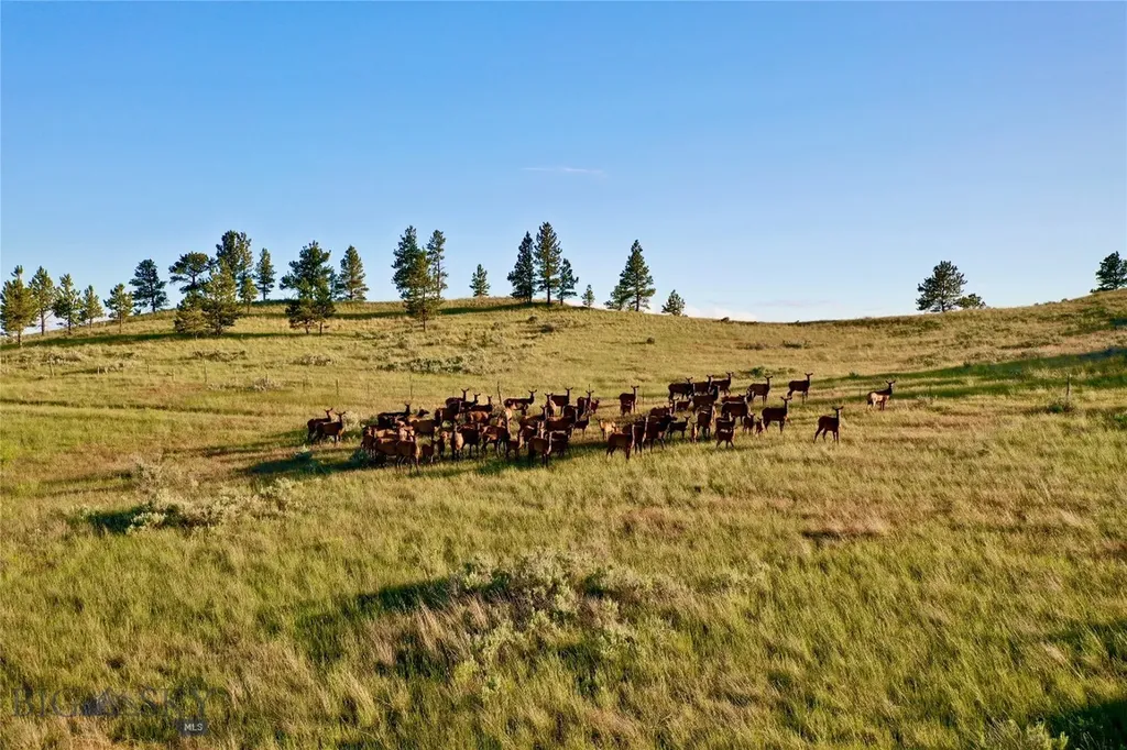 Tbd 79 Trail Road Winnett MT 59087