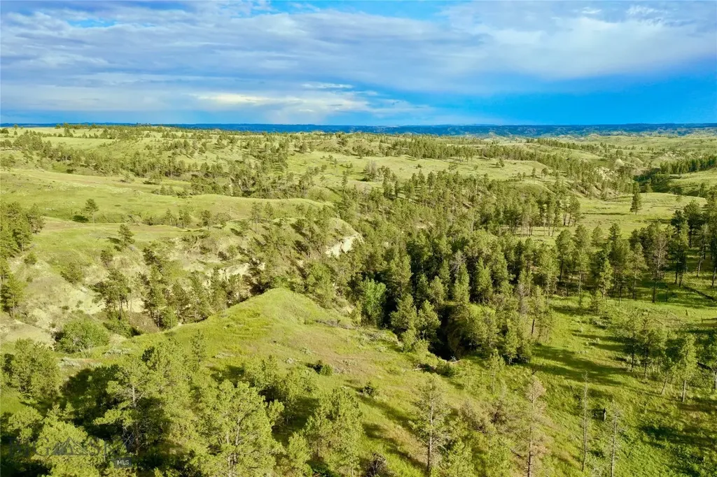 Tbd 79 Trail Road Winnett MT 59087