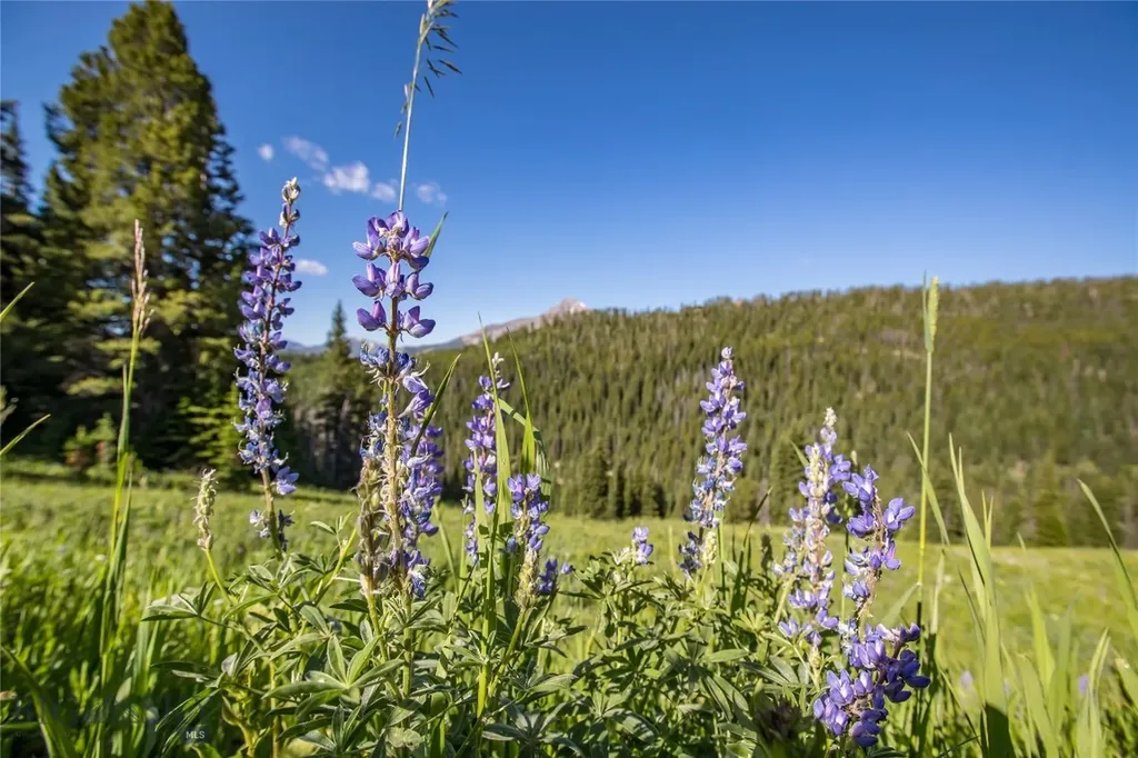 Lot 16 Beehive Basin Road Big Sky MT 59716