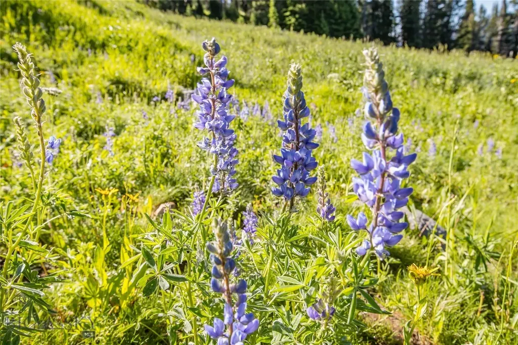 Lot 16 Beehive Basin Road Big Sky MT 59716