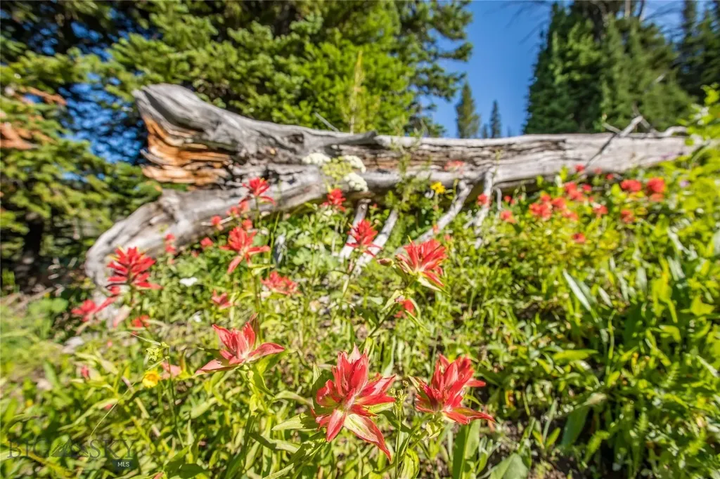 Lot 16 Beehive Basin Road Big Sky MT 59716
