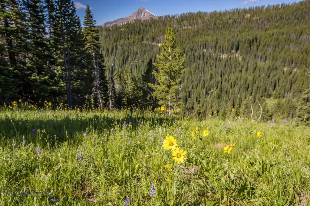 Lot 16 Beehive Basin Road Big Sky MT 59716