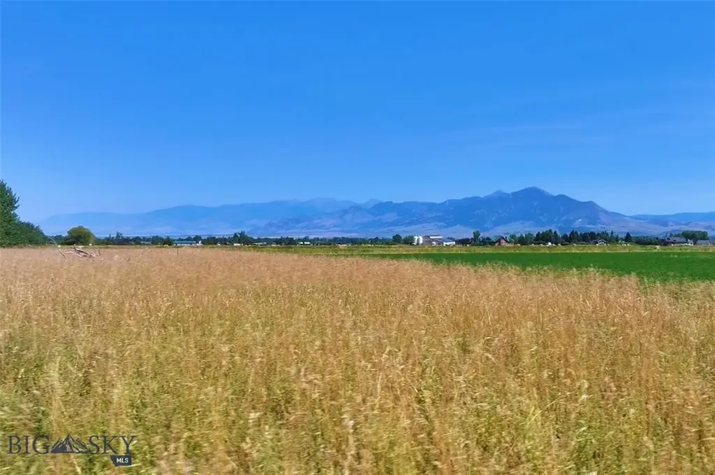 Lot 7 Holtz Lane Bozeman MT 59718