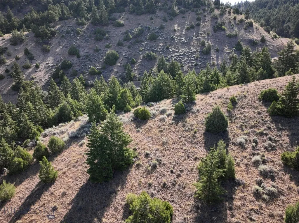 Tbd Lone Wolf Trail Clarkston MT 59752