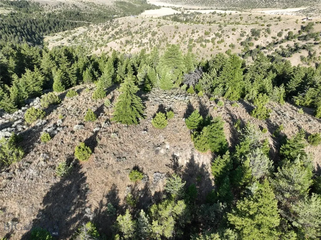 Tbd Lone Wolf Trail Clarkston MT 59752