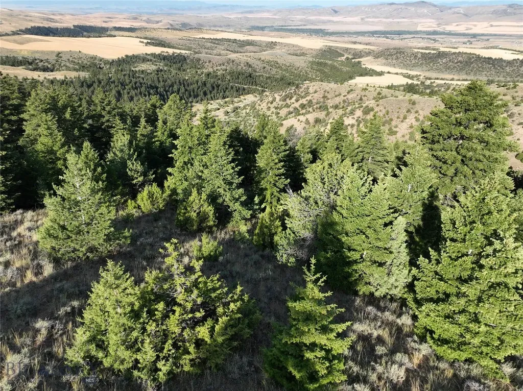 Tbd Lone Wolf Trail Clarkston MT 59752