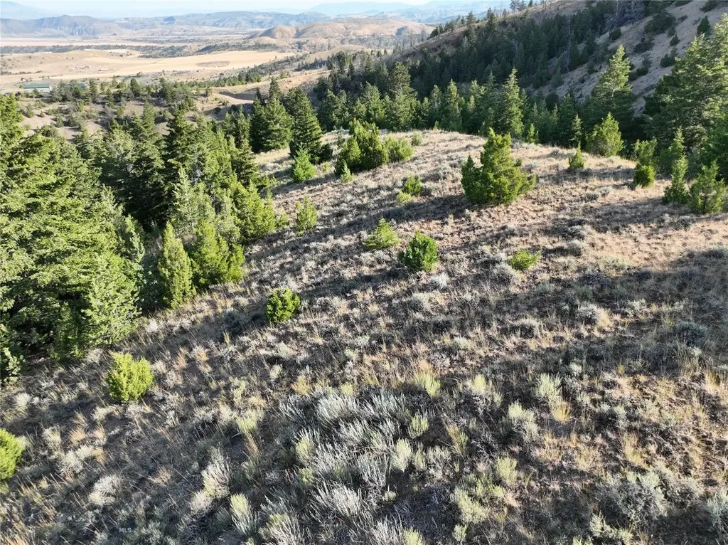 Tbd Lone Wolf Trail Clarkston MT 59752