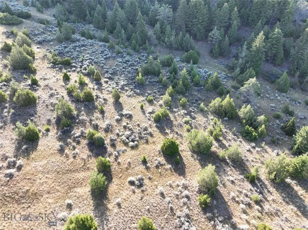 Tbd Lone Wolf Trail Clarkston MT 59752