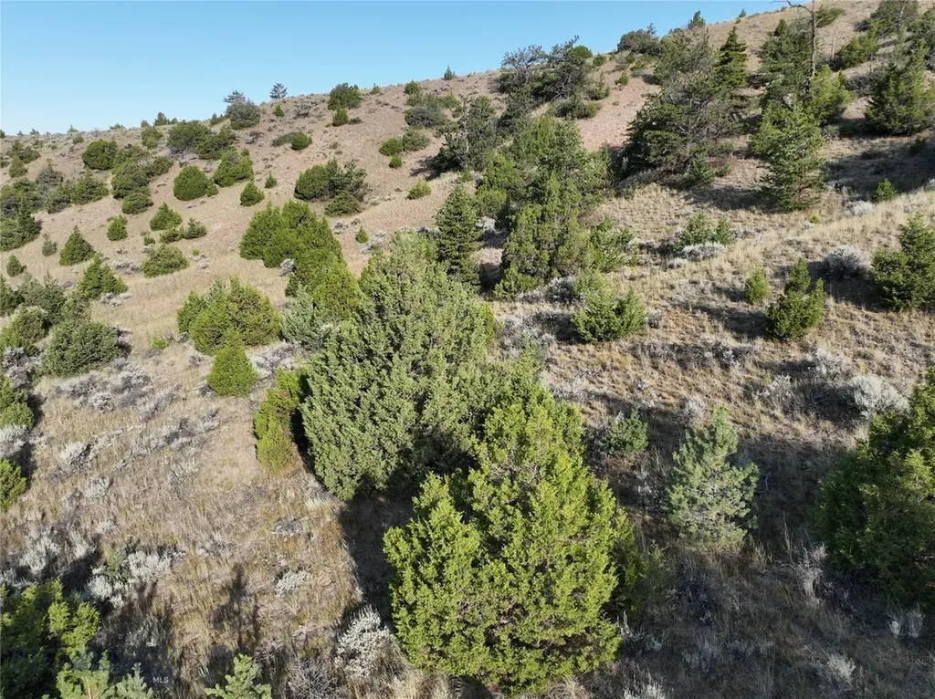 Tbd Lone Wolf Trail Clarkston MT 59752