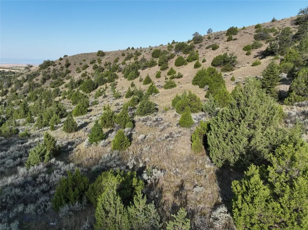 Tbd Lone Wolf Trail Clarkston MT 59752